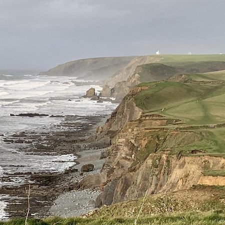 Duckpool Cottage Bideford Εξωτερικό φωτογραφία